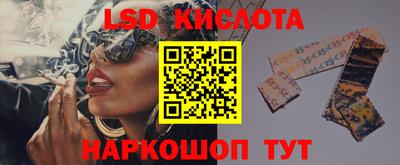 PSILOCYBIN Партизанск